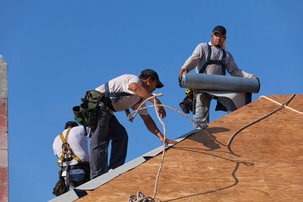 Best Metal Roofing Contractor  in Yuba City, CA